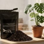 best soil for houseplants 2027