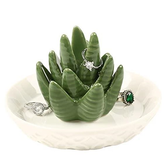 10 Best Places to Put Christmas Cactus in 2027 6 ceramic aloe ring dish
