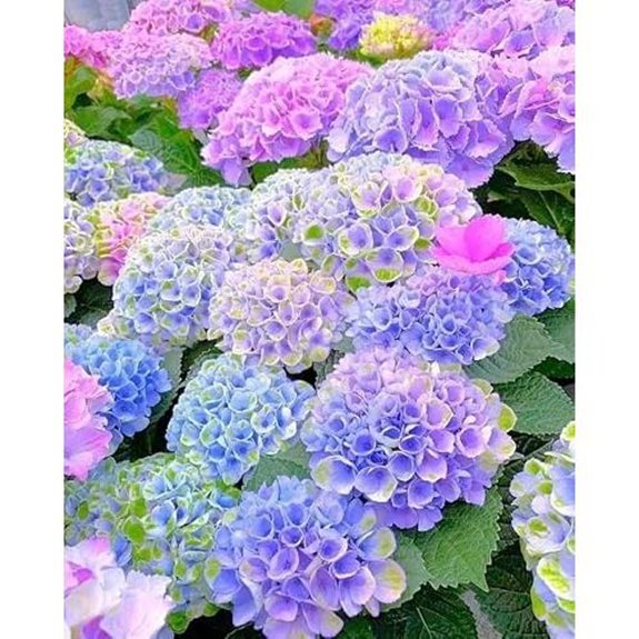 10 Best Companion Plants for Hydrangeas in 2027 10 hydrangea seeds non gmo pack