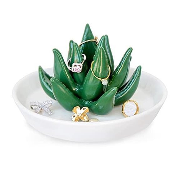 10 Best Places to Put Christmas Cactus in 2027 7 pudding cabin succulent dish
